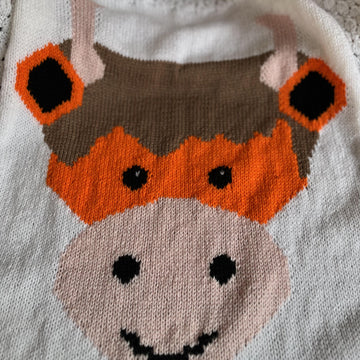 Highland Cow Baby Blanket