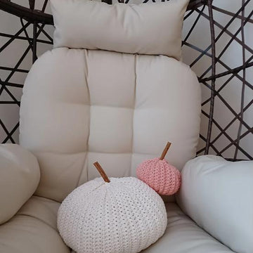 Pumpkin small & medium size