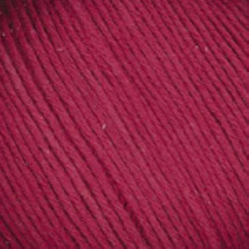 Plymouth Yarn Bio Sesia 5
