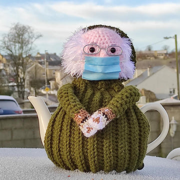 Bernie Sanders Tea Cosy + Bonus