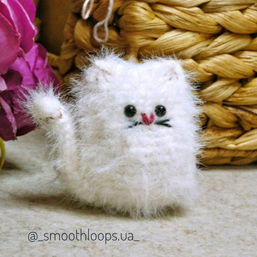 Fluffy Cat