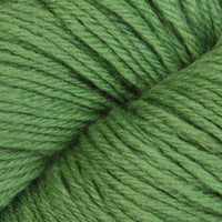 Cactus (12285)
