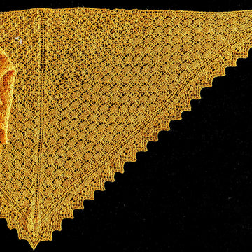 Bee-Byke Shawl