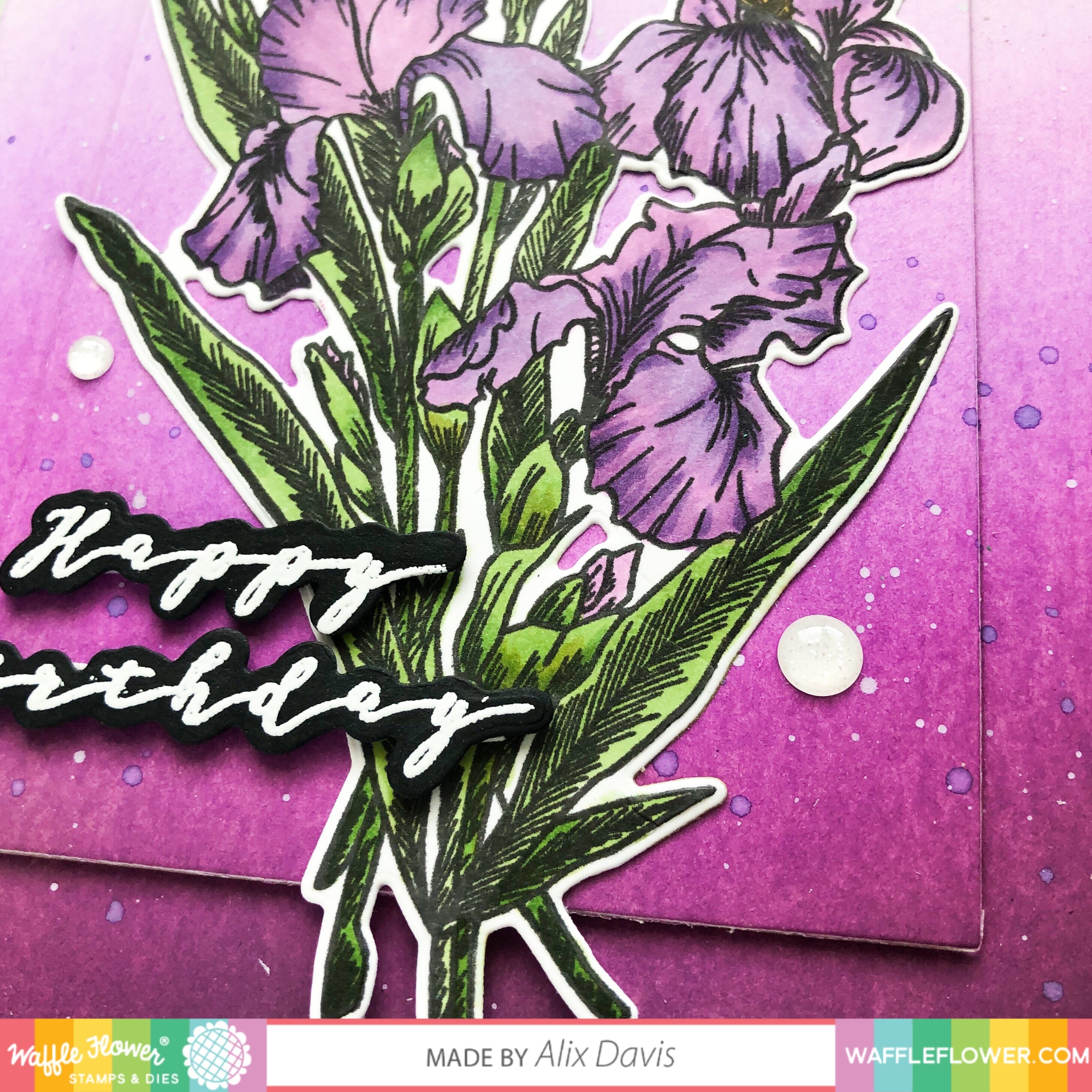 Waffle Flower Crafts Clear Stamps 4"X6" - Iris You