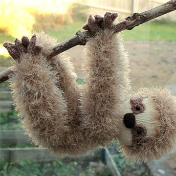 Sloth