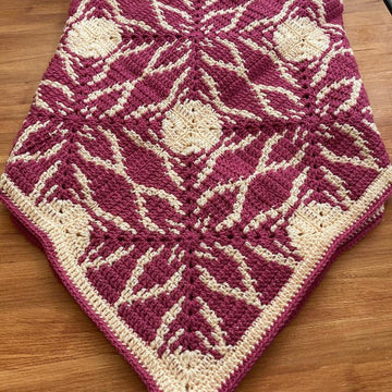 Starburst Blanket