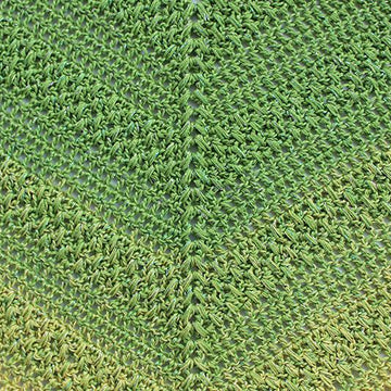 Lovely Luisa Shawl