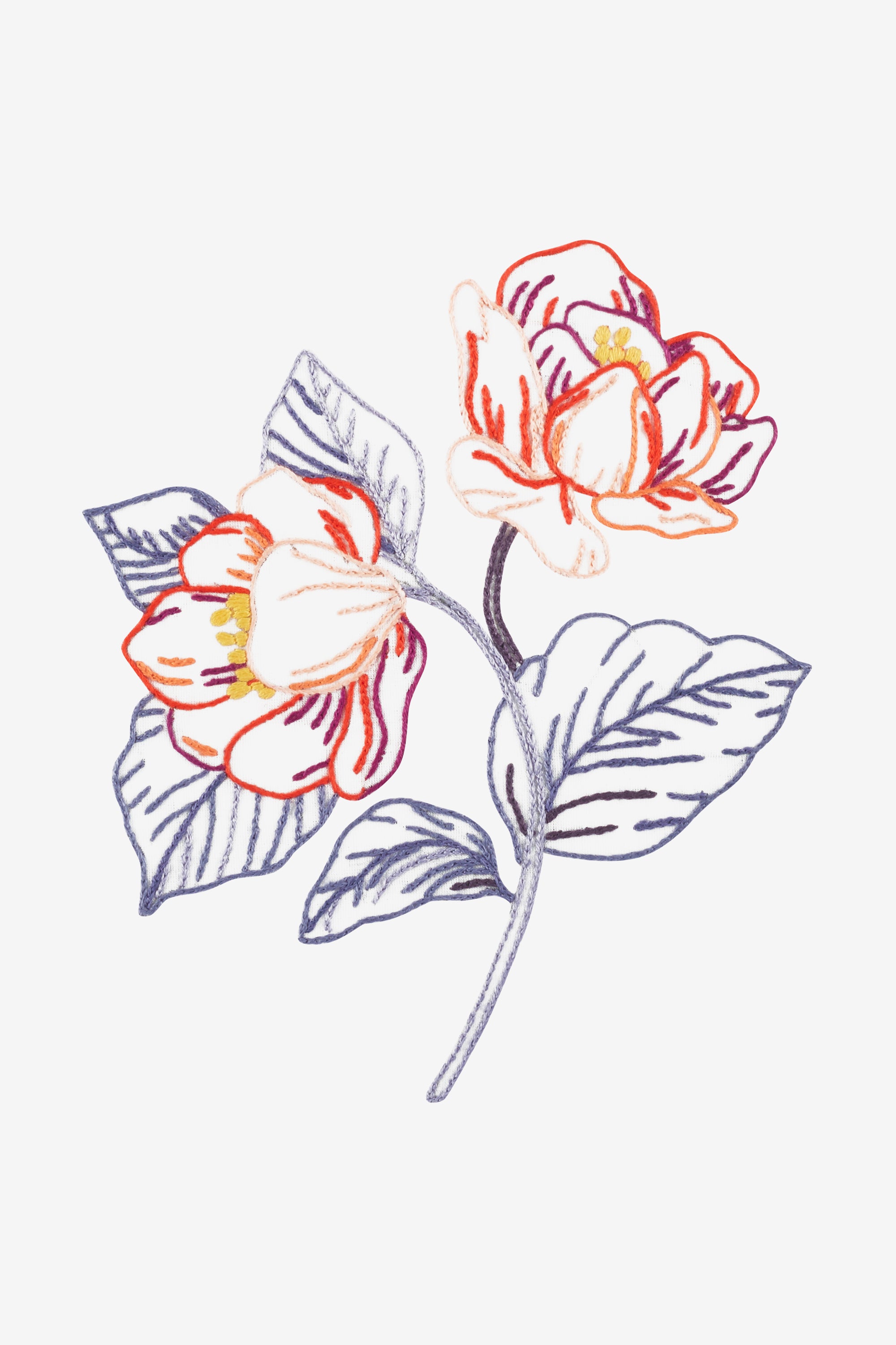 Windflower in DMC - PAT0335 - Downloadable PDF