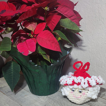Mrs. Claus Gift Bag