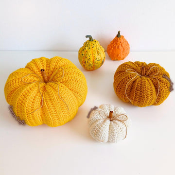 Rustic Pumpkin Centerpiece for Fall / Rustikale Kürbisse