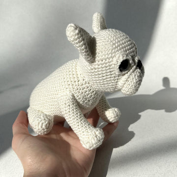 French Bulldog Puppy