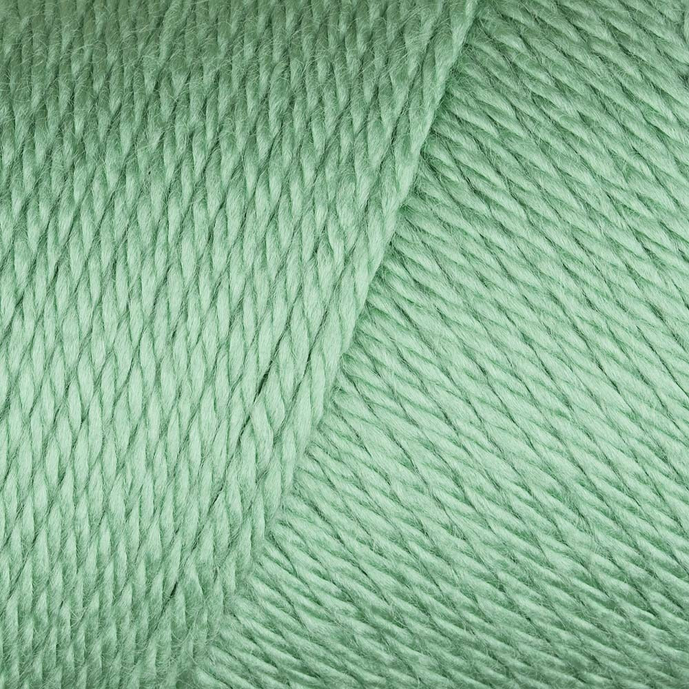 Caron Simply Soft