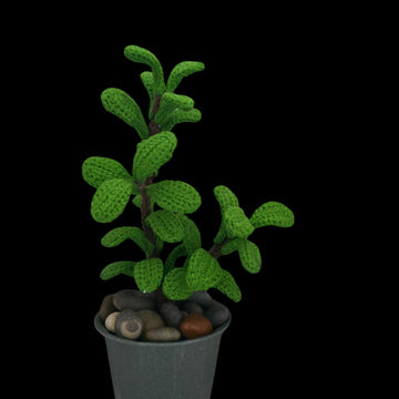 Crochet Jade plant pattern