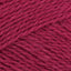 Plum (0585)