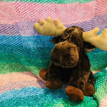 Orion Baby Blanket