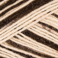 Zebra Emmi (5868)