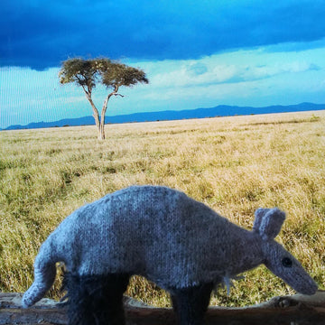 Aardvark
