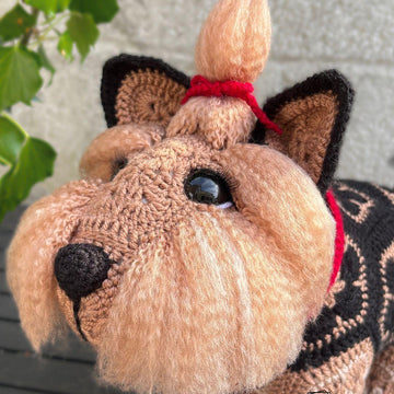Tiggy The African Flower Yorkshire Terrier
