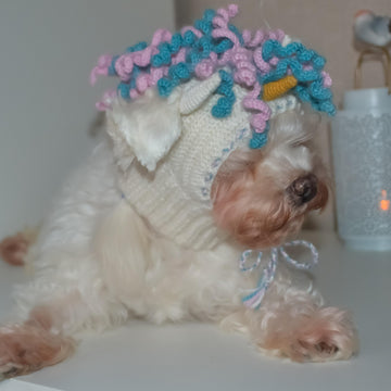Unicorn dog hood, Crochet Pattern PDF, Size: XS for small dog