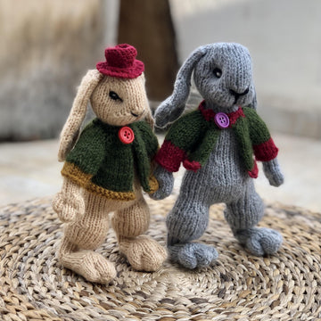 Bunny with Jacket