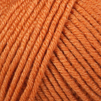 Carrots (219)