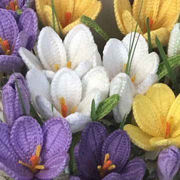 Crocus Crochet Pattern