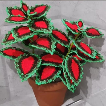 Crochet Coleus plant