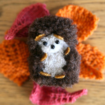 Hibernating Hedgehog