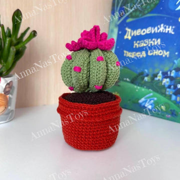 Cactus in a pot