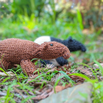 Mini Tapir Cousins Floyd and Elena