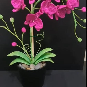 Crochet Orchid flower