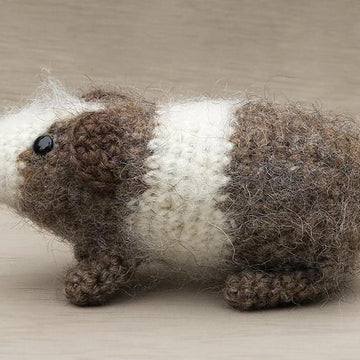 Pudding & Cake guinea pigs