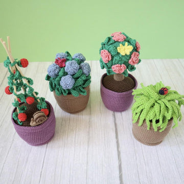 Garden Plants, Flowers and Bugs