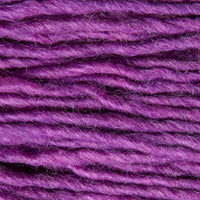 Radiant Orchid (14)