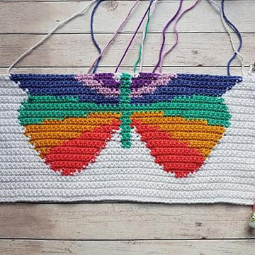 Butterfly 2 in 1 Pajama Case & Cushion