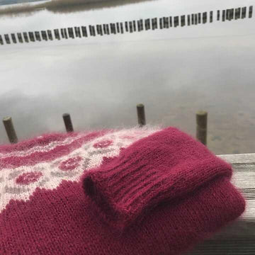 Pull Hellébore