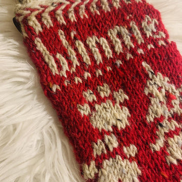 Santa Paws Stocking