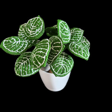 Crochet Nerve plant/Fittonia