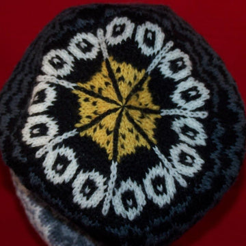 Falcon Family Hat
