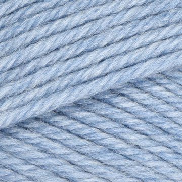 Forget-Me-Not (33162)
