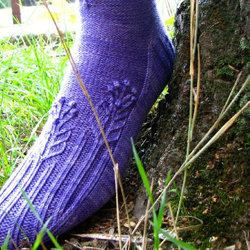 Molly's Socks