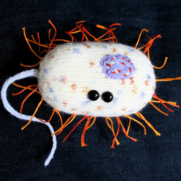 Squeaky Bacteria