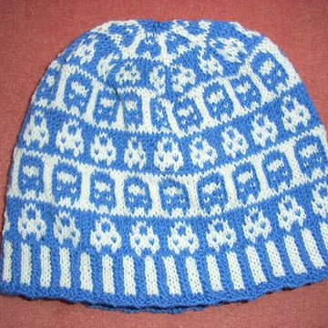 Bus and car beanie