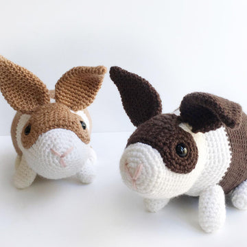 Dutch Bunnies