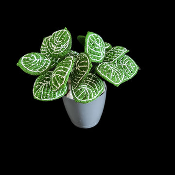 Crochet Nerve plant/Fittonia