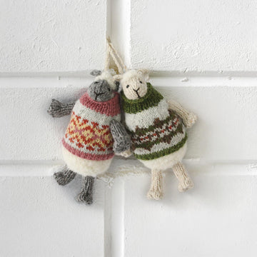 Jumper Lambs