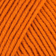 Pumpkin (183)