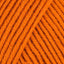 Pumpkin (183)