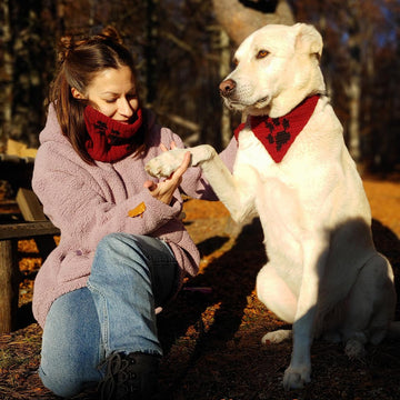 Matching cowl and dog bandana