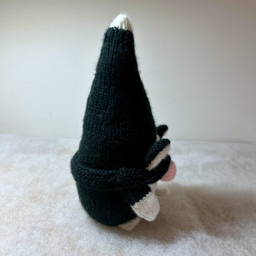 Cat Gnome